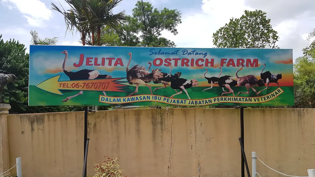 Tempat Wisata Menarik di Seremban Jelita Ostrich Farm