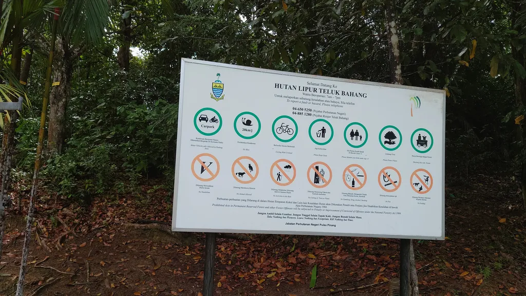 Tips Berkunjung ke Taman Rimba Teluk Bahang