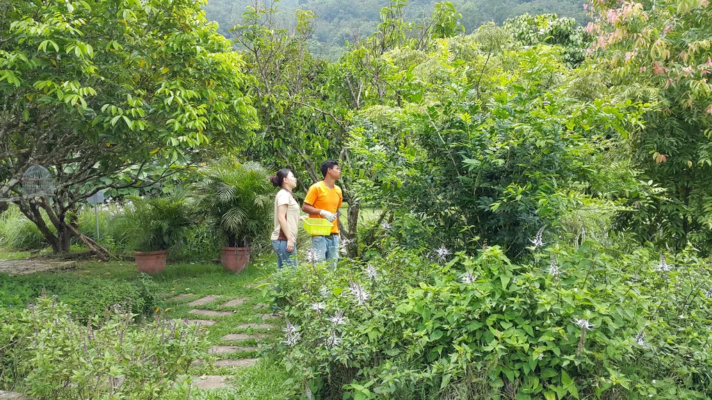 Aktiviti Menarik bagi Pengunjung di Fruit Farm