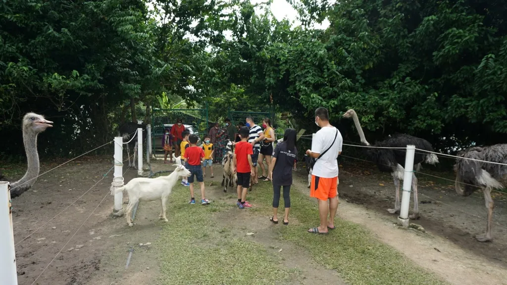 Aktiviti Menarik dan Demonstrasi di Jelita Farm