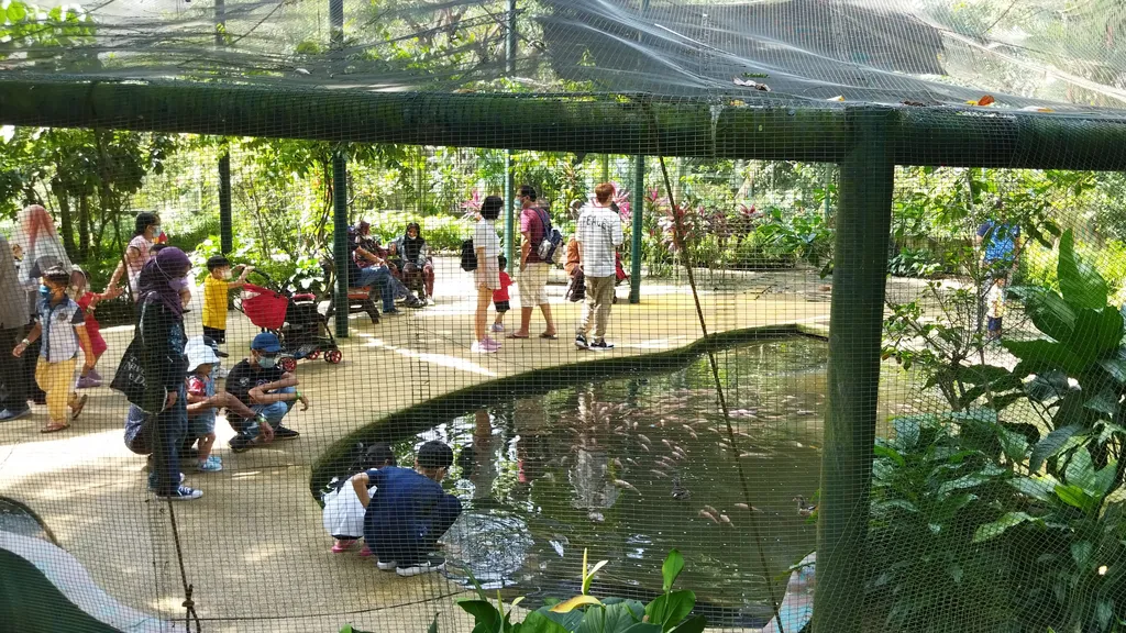 Aktiviti Menarik dan Pertunjukan Burung di KL Bird Park