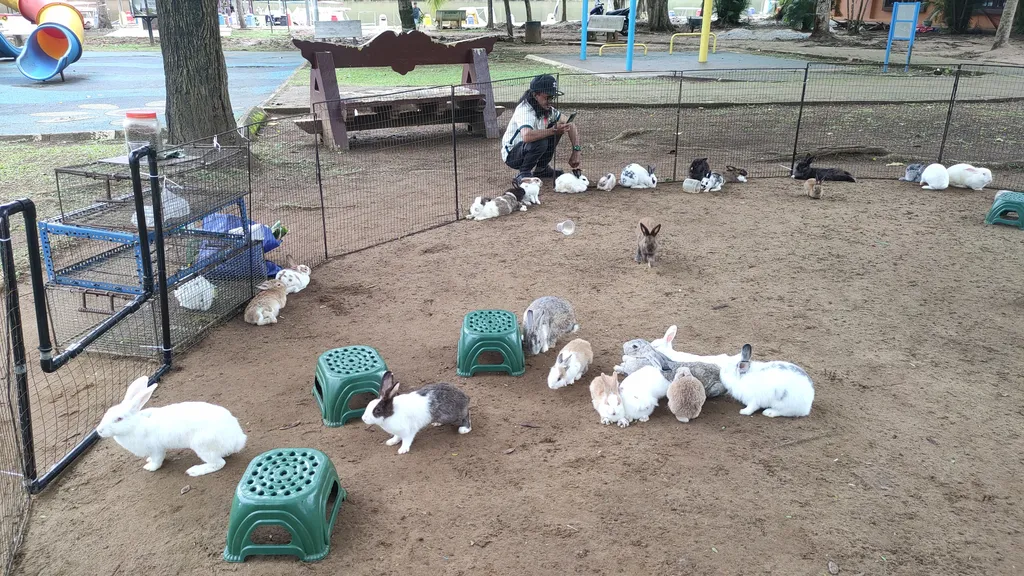 Aktiviti Menyenangkan untuk Keluarga dan Anak anak Taman Bandar Kuantan