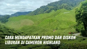 Cara Mendapatkan Promo dan Diskon Liburan di Cameron Highland Malaysia