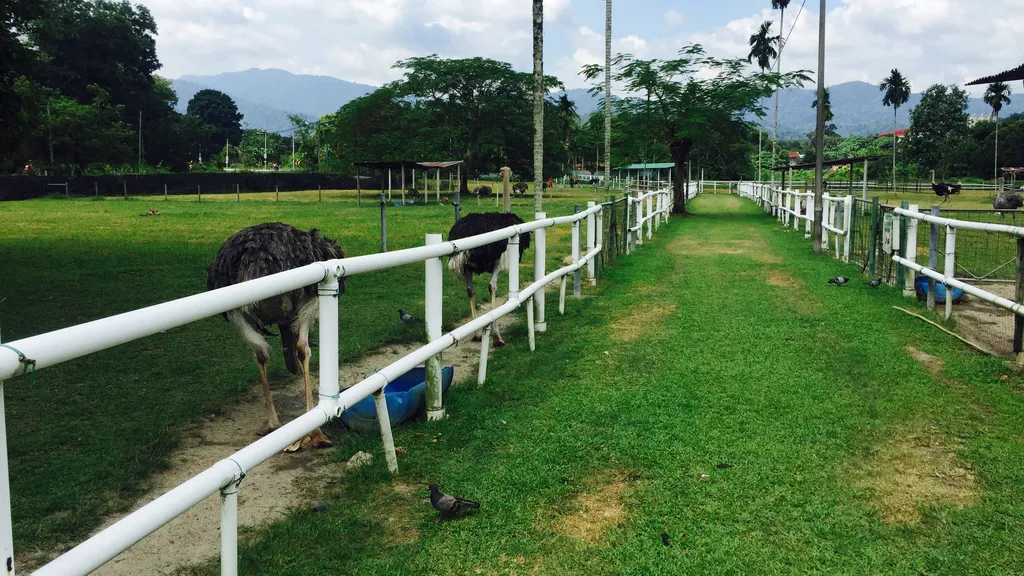 Fasilitas dan Kemudahan untuk Pengunjung di Jelita Farm