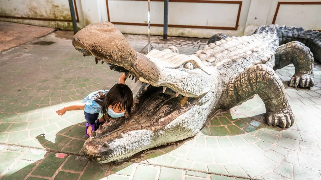 Foto dan Video Menarik di Zoo Taiping