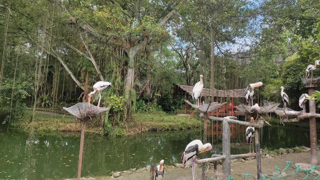 Taman Burung Penang