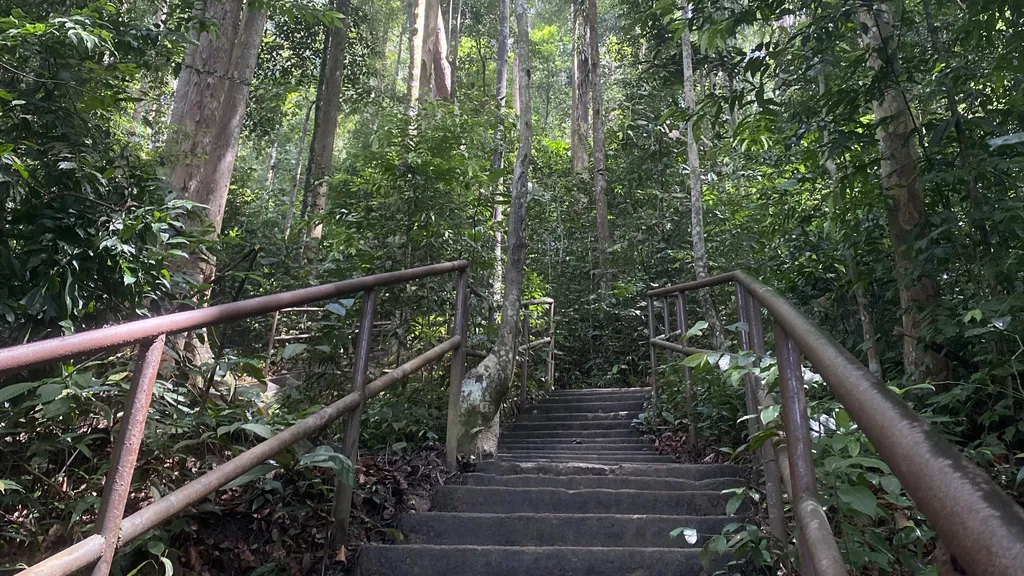 Jalur Pendakian dan Peluang Rekreasi di Hutan Lipur Kanching