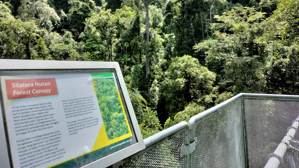 Keindahan Flora dan Fauna di Tree Top Walk Sg Sedim