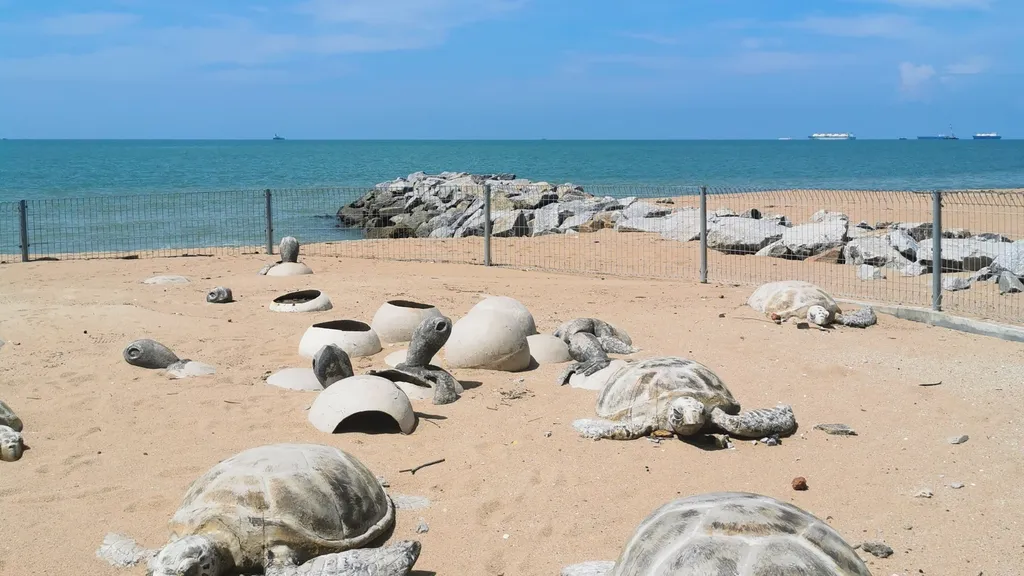 Keindahan Pantai dan Alam Sekitar di Pantai Pengkalan Balak