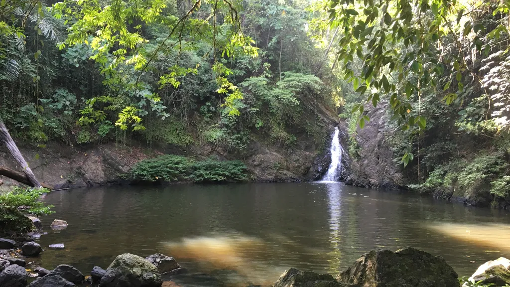 Kepelbagaian Hidupan Liar dan Habitat Unik di Tabin Wildlife