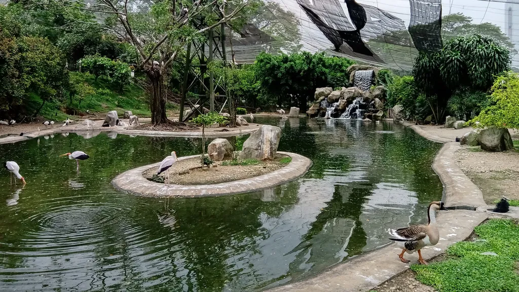 Keunikan dan Pelbagai Spesies Burung di KL Bird Park