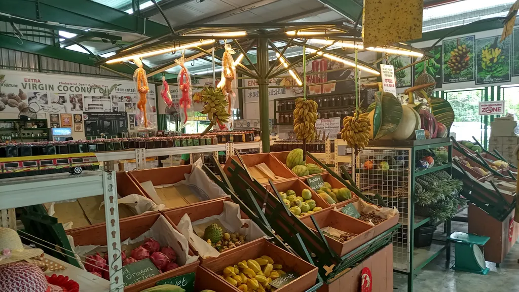 Koleksi dan Keanekaragaman Buah Tropika di Fruit Farm