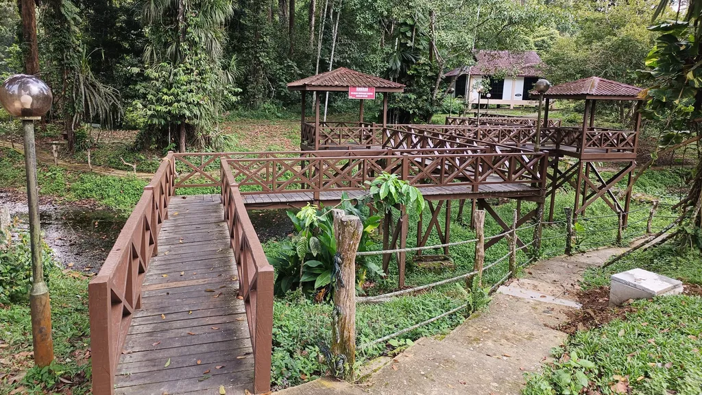 Laluan Pendakian dan Panorama Alam di Taman Bukit Tawau