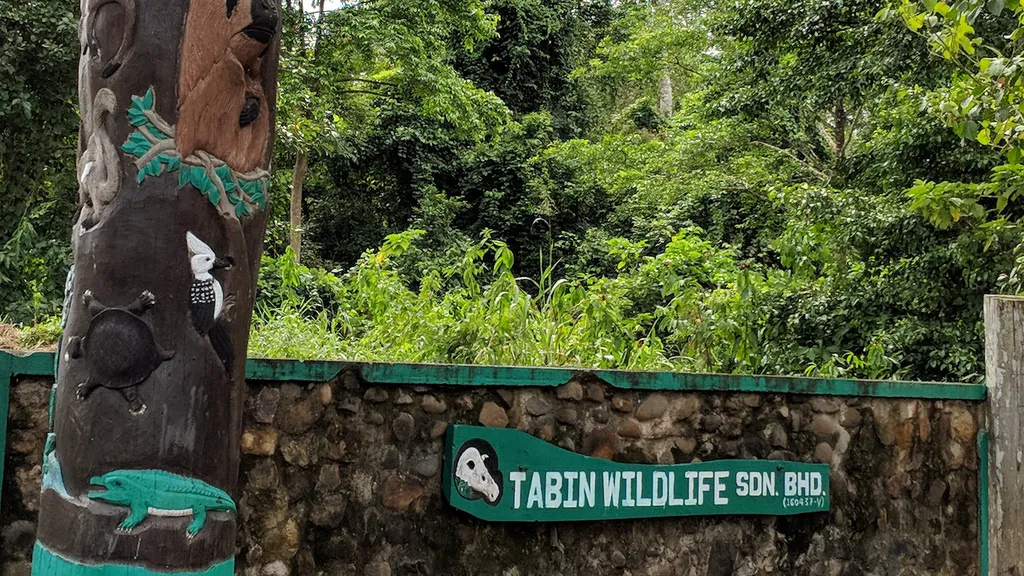 Lokasi Tabin Wildlife Reserve dan Cara Ke Sana
