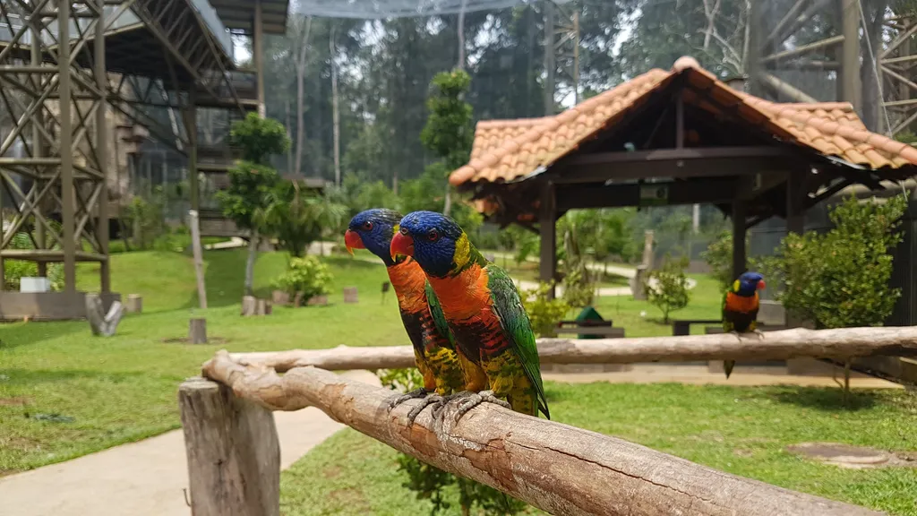 Pelbagai Jenis Burung dan Habitatnya di Taman Burung Melaka