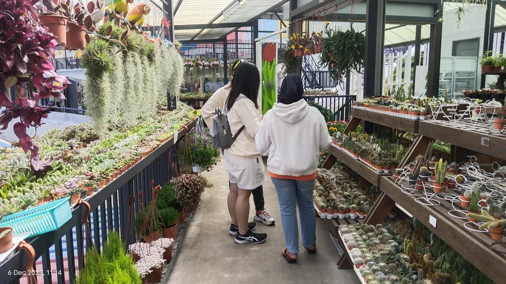 Pembelian Langsung di Agro Market Cameron Highland