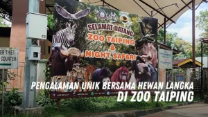 Pengalaman Unik Bersama Hewan Langka di Zoo Taiping Malaysia