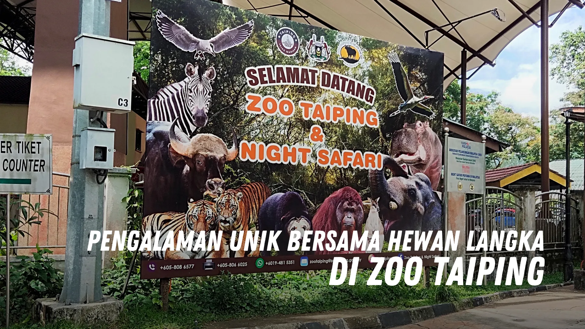 Pengalaman Unik Bersama Hewan Langka di Zoo Taiping Malaysia