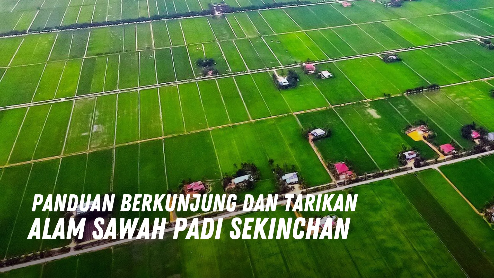 Review Alam Sawah Padi Sekinchan Malaysia