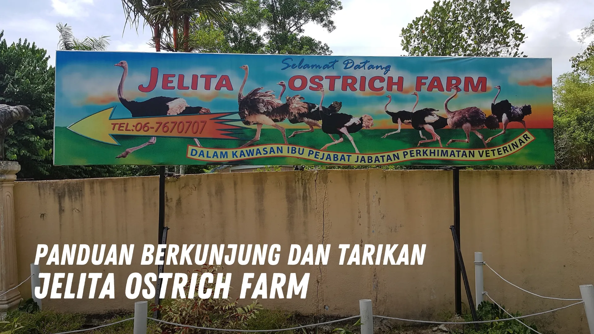 Review Jelita Ostrich Farm Malaysia