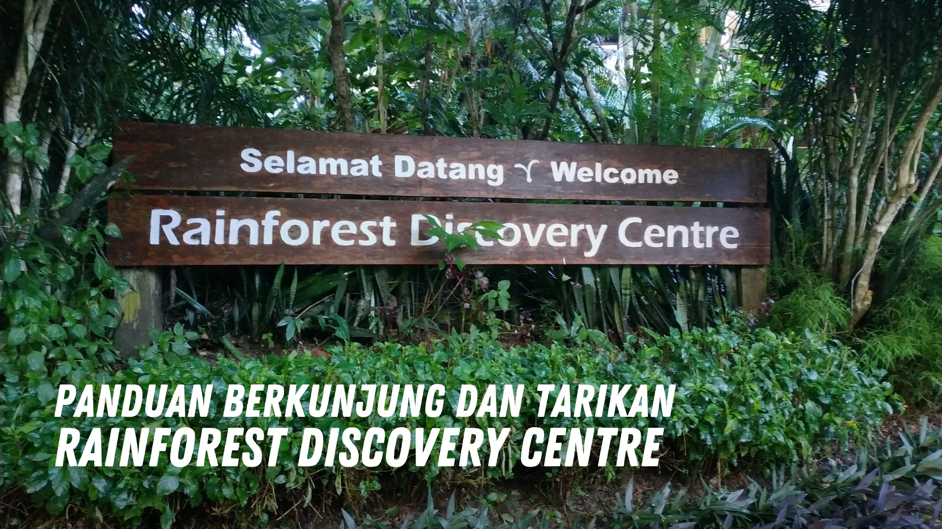 Review Rainforest Discovery Centre Malaysia