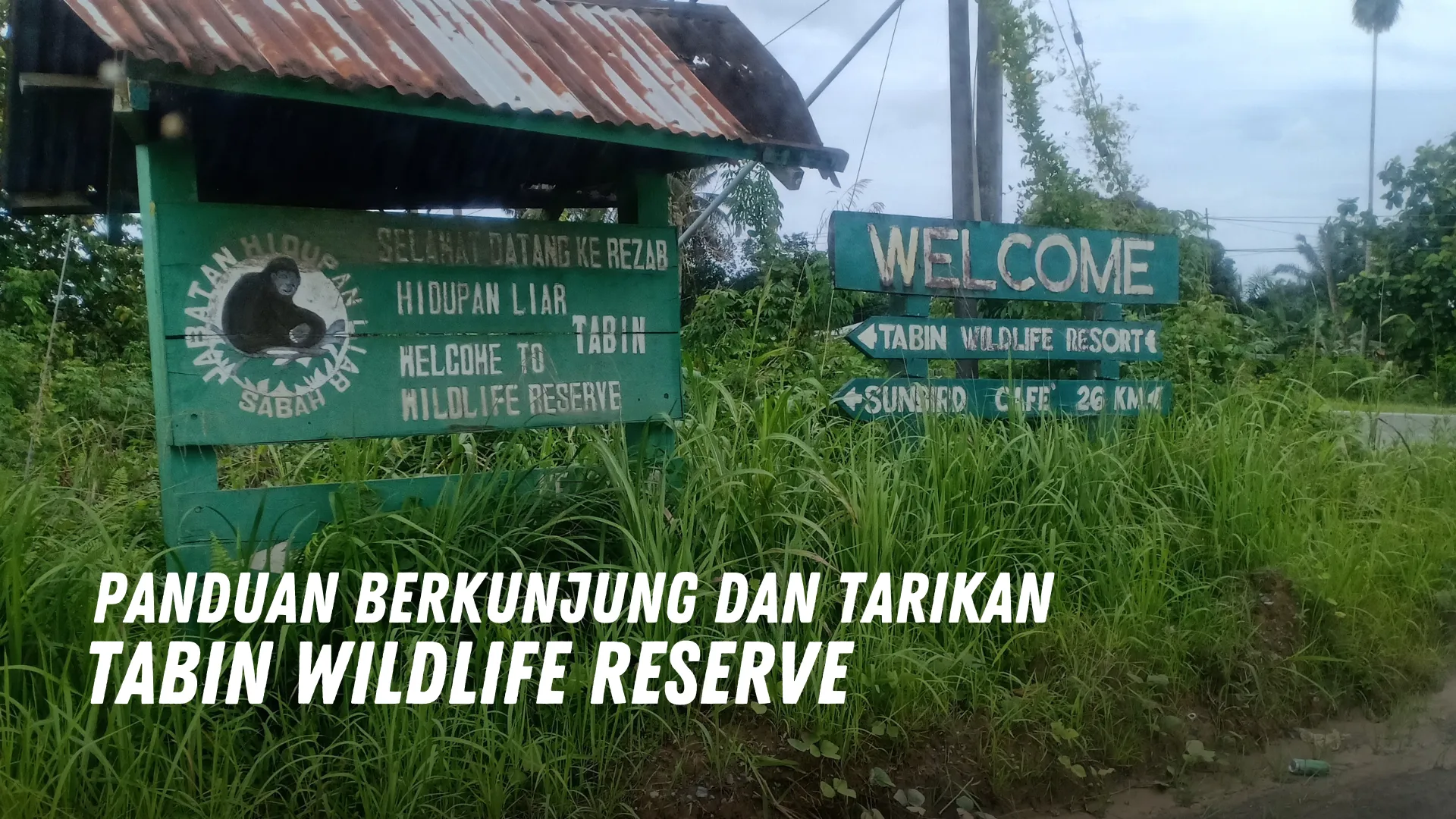 Review Tabin Wildlife Reserve Malaysia