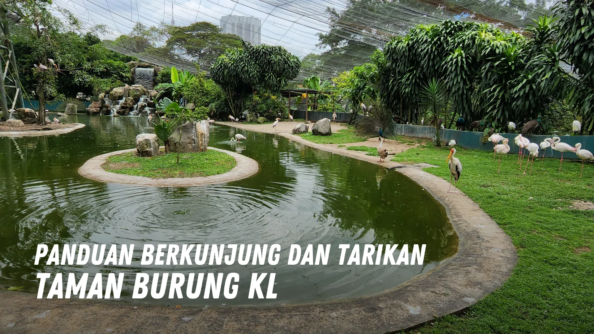 Review Taman Burung KL Malaysia