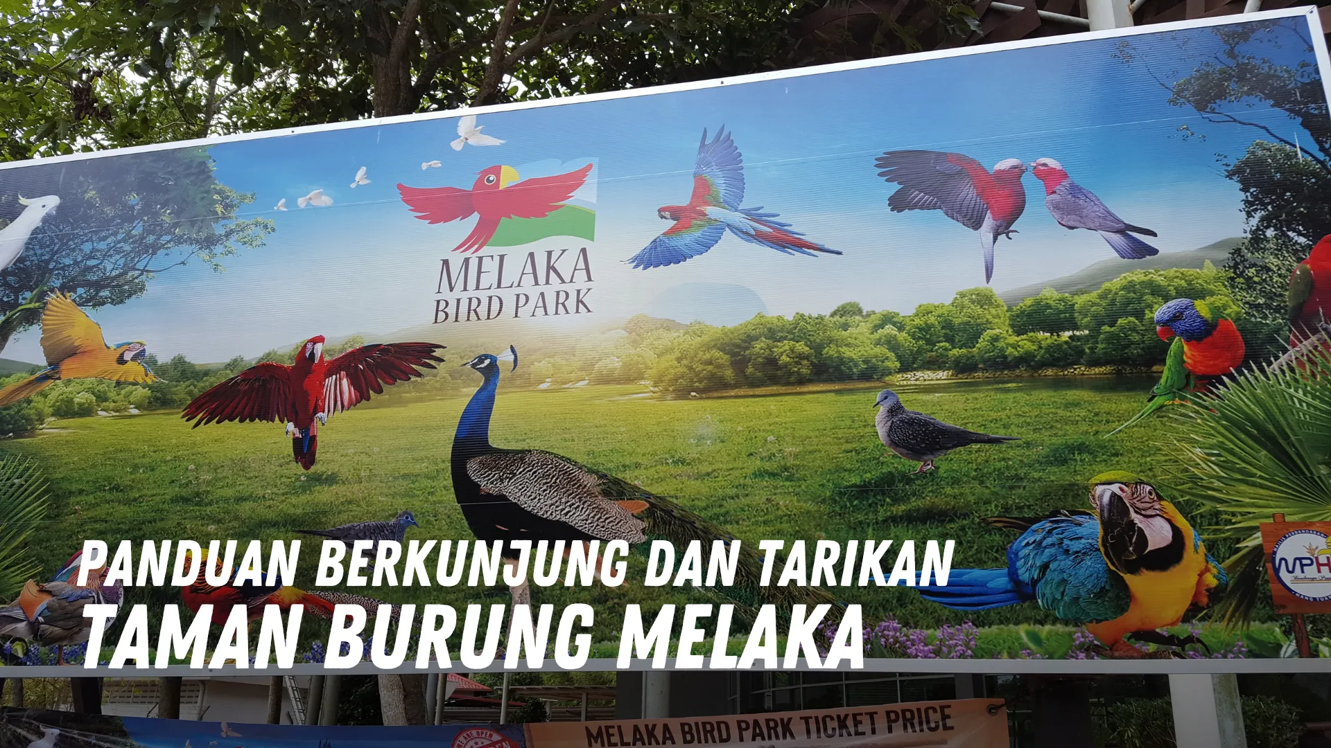 Review Taman Burung Melaka Malaysia