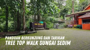 Review Tree Top Walk Sungai Sedim Malaysia