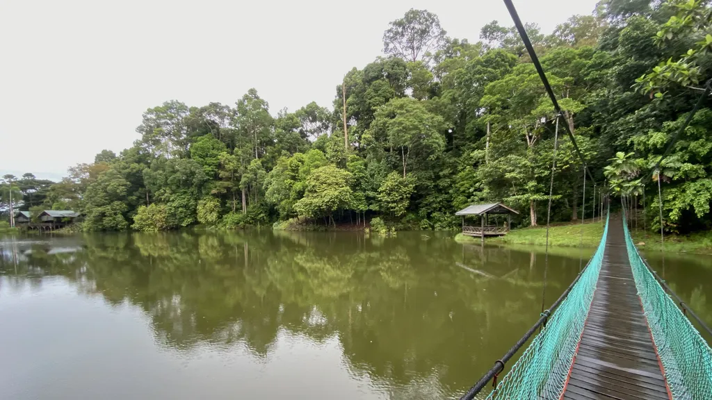 Tarikan Lain di Sekitar Rainforest Discovery Centre