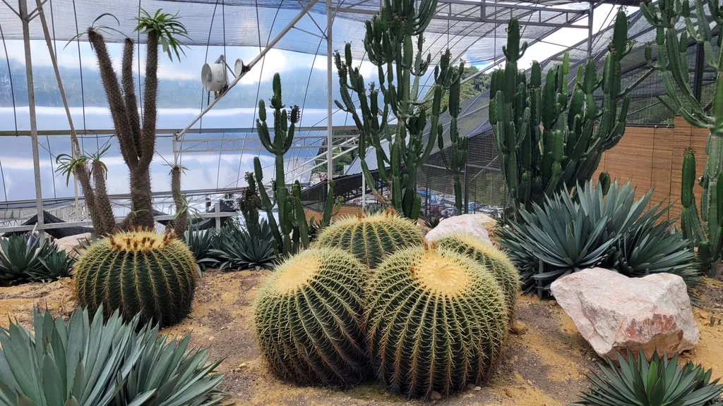 Variasi Produk di Agro Market Cameron Highland