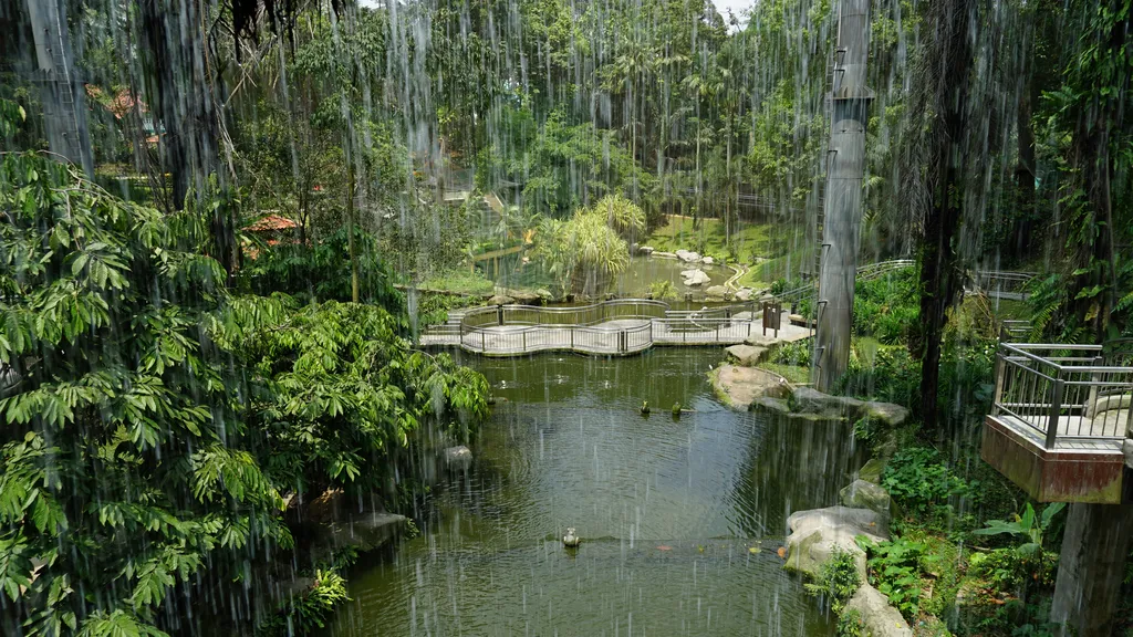 Zon Aviari dan Pengalaman Imersif di KL Bird Park