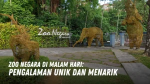 Zoo Negara di Malam Hari Malaysia