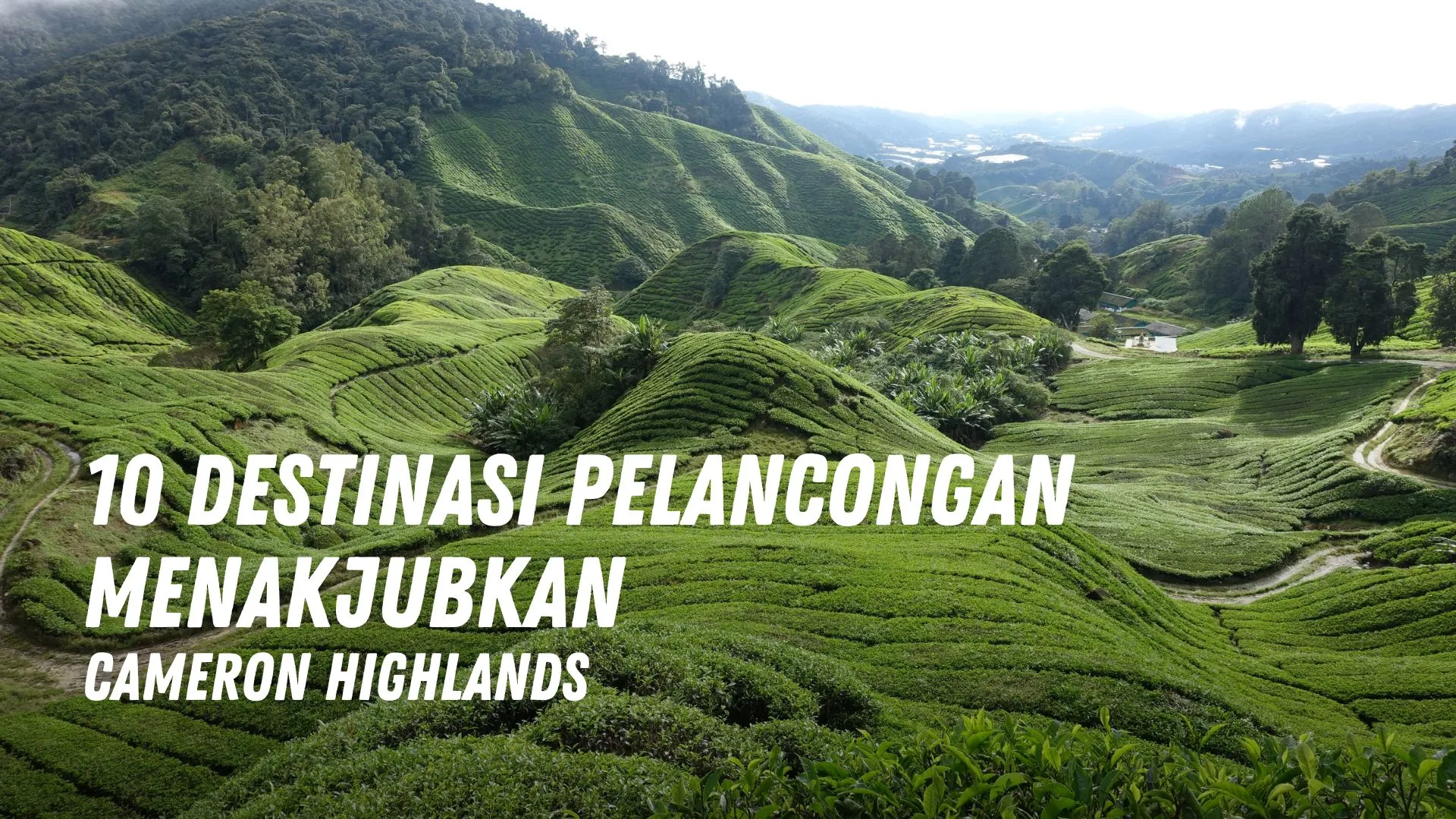 10 Destinasi Pelancongan yang Menakjubkan Cameron Highlands Malaysia