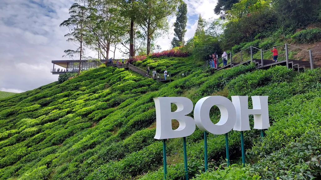 Destinasi Menarik Cameron Highland Ladang Teh BOH Sungai Palas