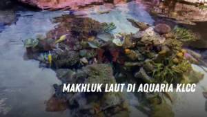 Makhluk laut di Aquaria KLCC Malaysia