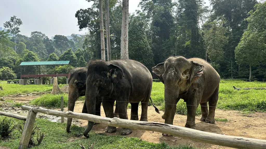 Santuari Gajah