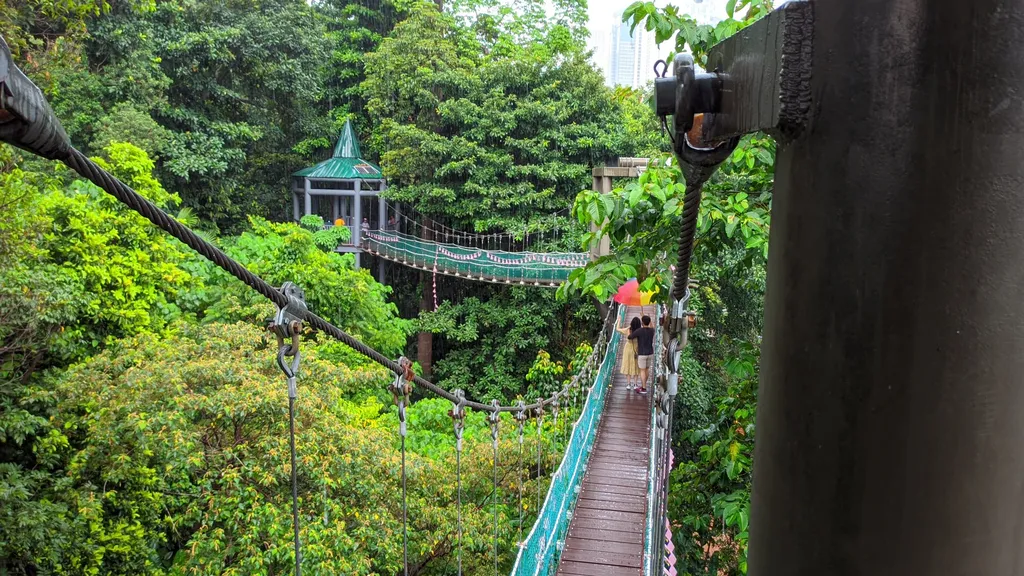 Sunset Spot KL Forest Eco Park