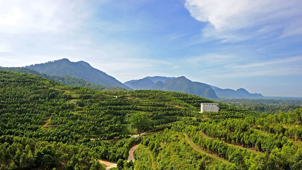 Tempat Romantis Bukit Tinggi Gaharu Tea Valley