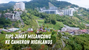 Tips Jimat melancong ke Cameron Highlands Malaysia