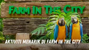 Aktiviti Menarik di Farm in the City Malaysia