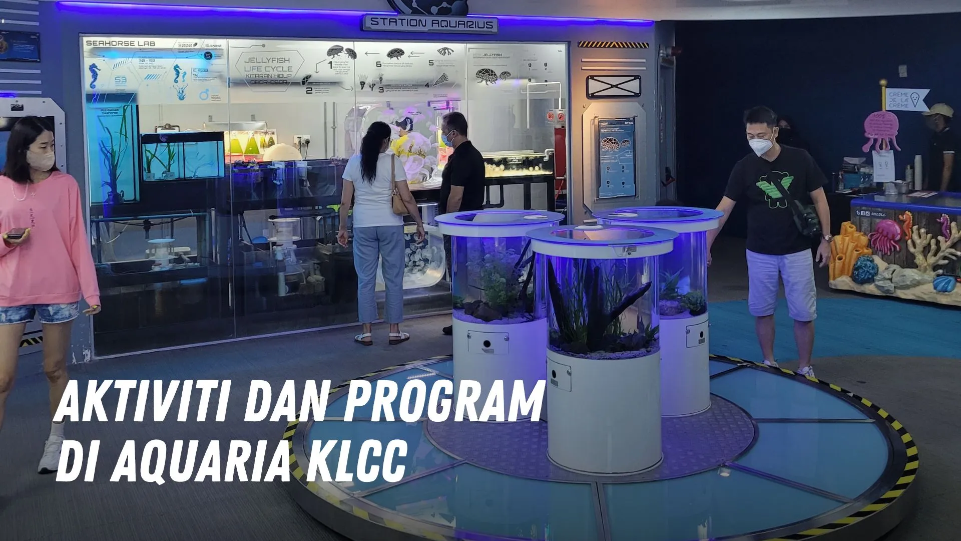 Aktiviti dan program di Aquaria KLCC Malaysia