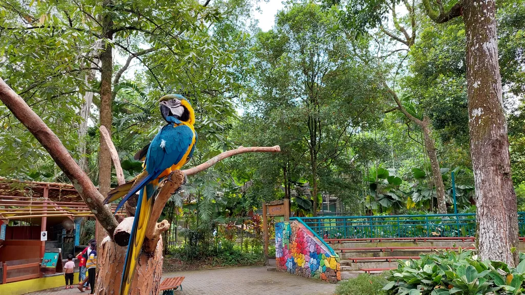 Atraksi Utama Zoo Negara