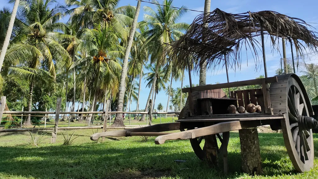 Bergambar di Kampung Agong