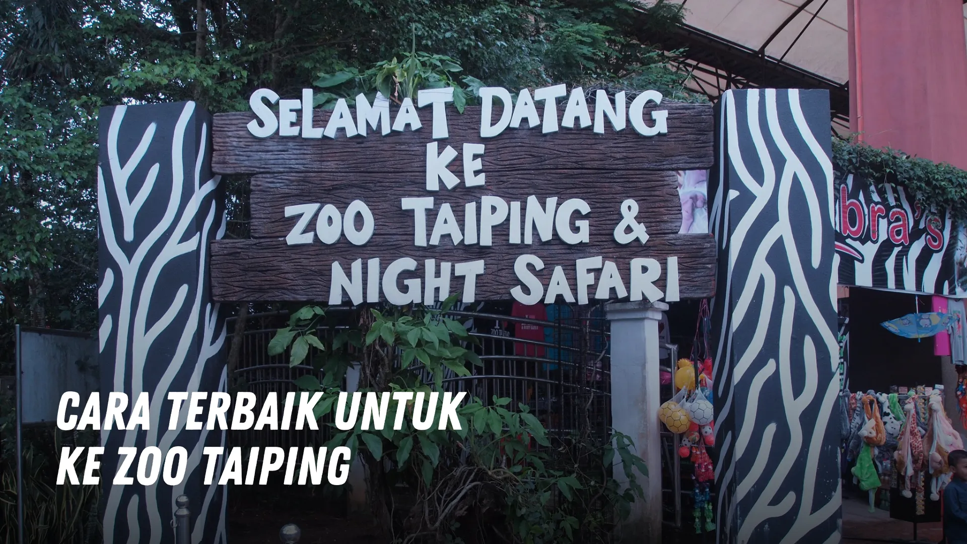 Cara terbaik untuk ke Zoo Taiping Malaysia
