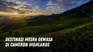 Destinasi mesra dewasa di Cameron Highlands Malaysia