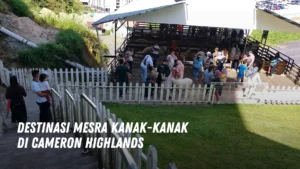 Destinasi mesra kanak kanak di Cameron Highlands Malaysia