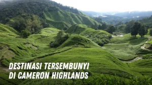 Destinasi tersembunyi di Cameron Highlands Malaysia