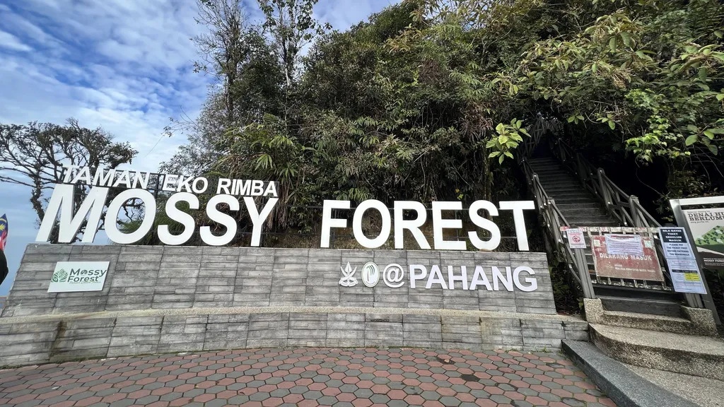 Hutan Simpan Mossy