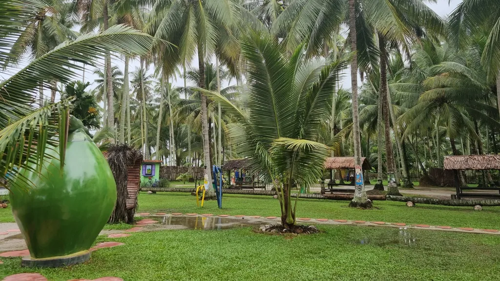 Memetik Kelapa di Kampung Agong